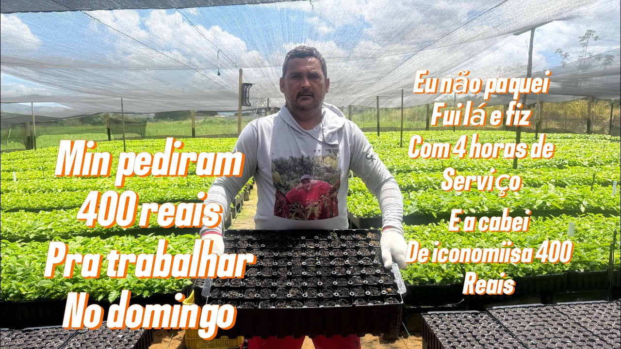 400 reais pra trabalhar no domingo eu não paguei fui lá e fiz eu mesmo?$$?