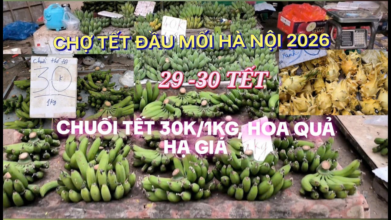 SỐC CHỢ PHIÊN TẾT ĐẦU MỐI PHÍA NAM HÀ NỘI: CHUỐI TẾT, HOA QUẢ GIẢM GIÁ VỀ QUÊ ĐÂY 35-40K/1KG