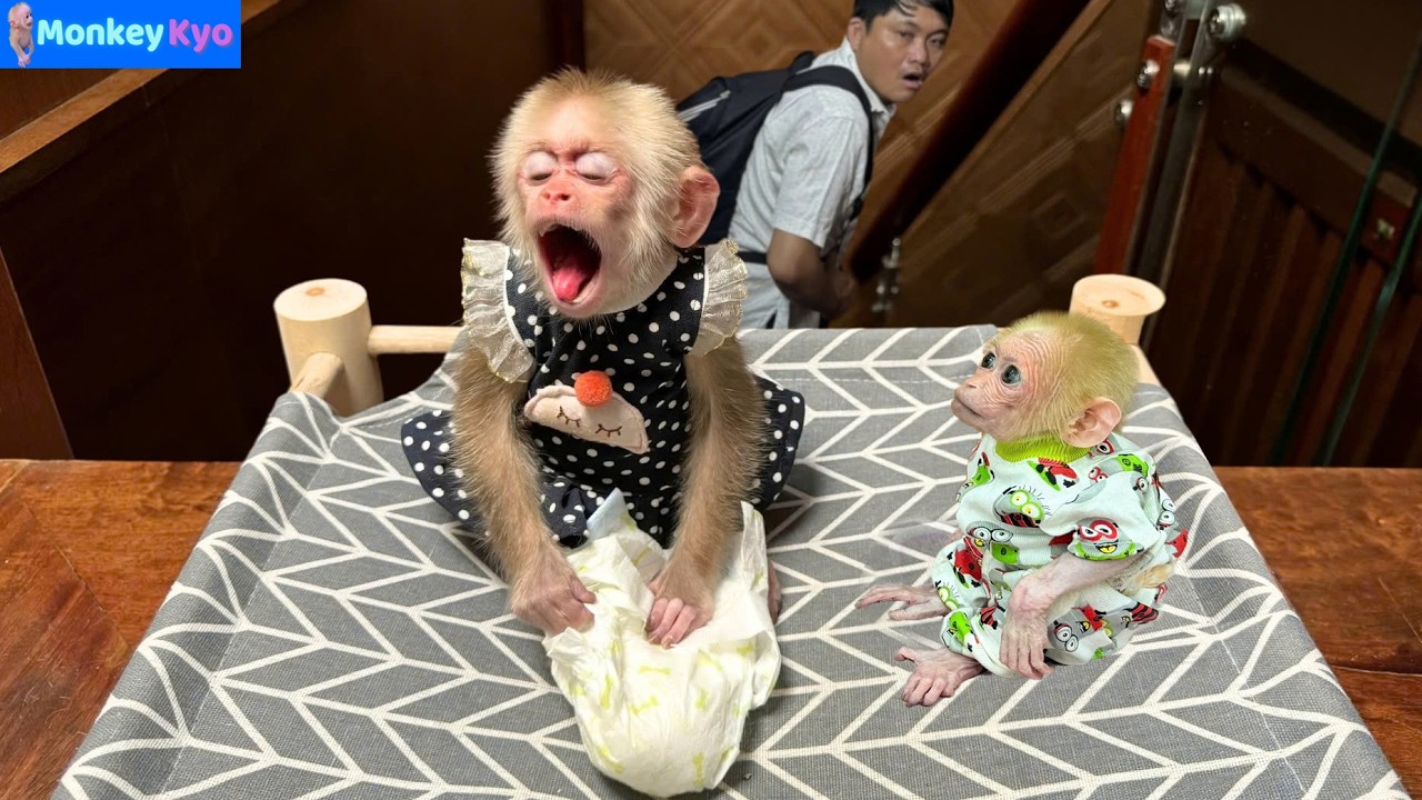 Kyo & BuNa&rsquo;s Funniest & Smartest Moments&hellip; So Cute and Funny! 😂