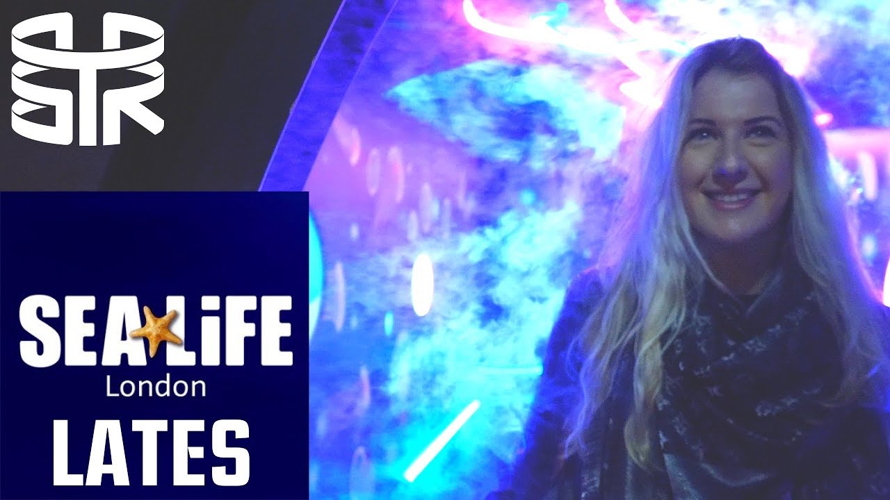 SEA LIFE London LATES 2019 - Adults only!