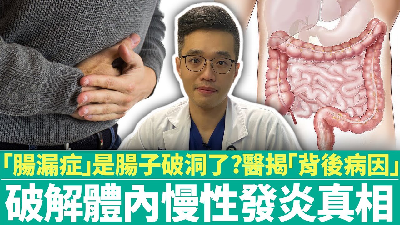 【健康療天室】「腸漏症」是腸子破洞了？　醫揭「背後病因」破解體內慢性發炎真相｜中時新聞網