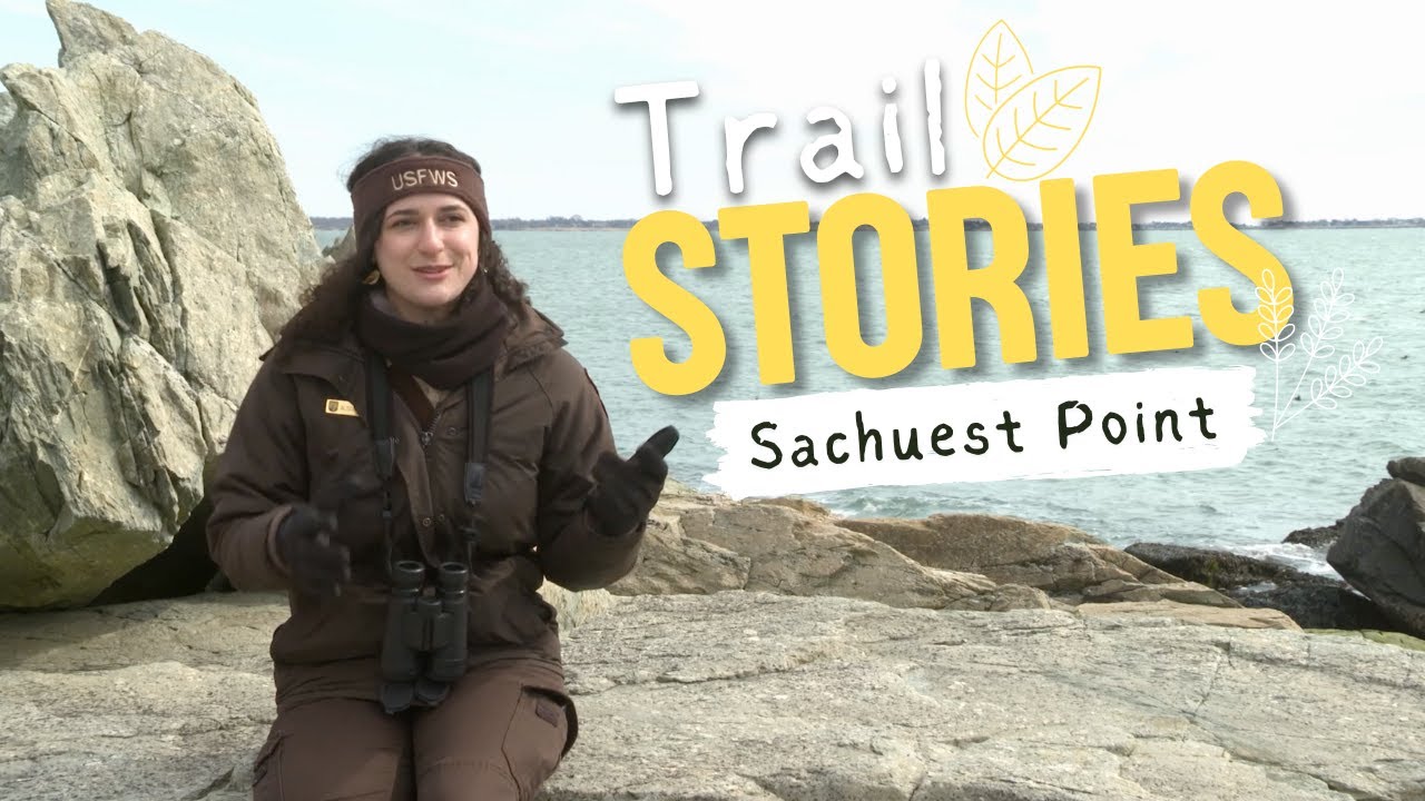 Sachuest Point | Trail Stories