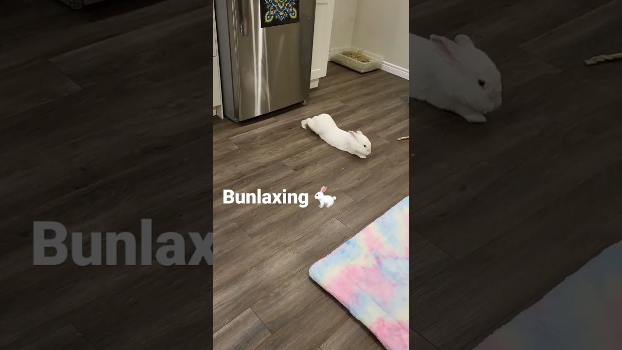 Superbun