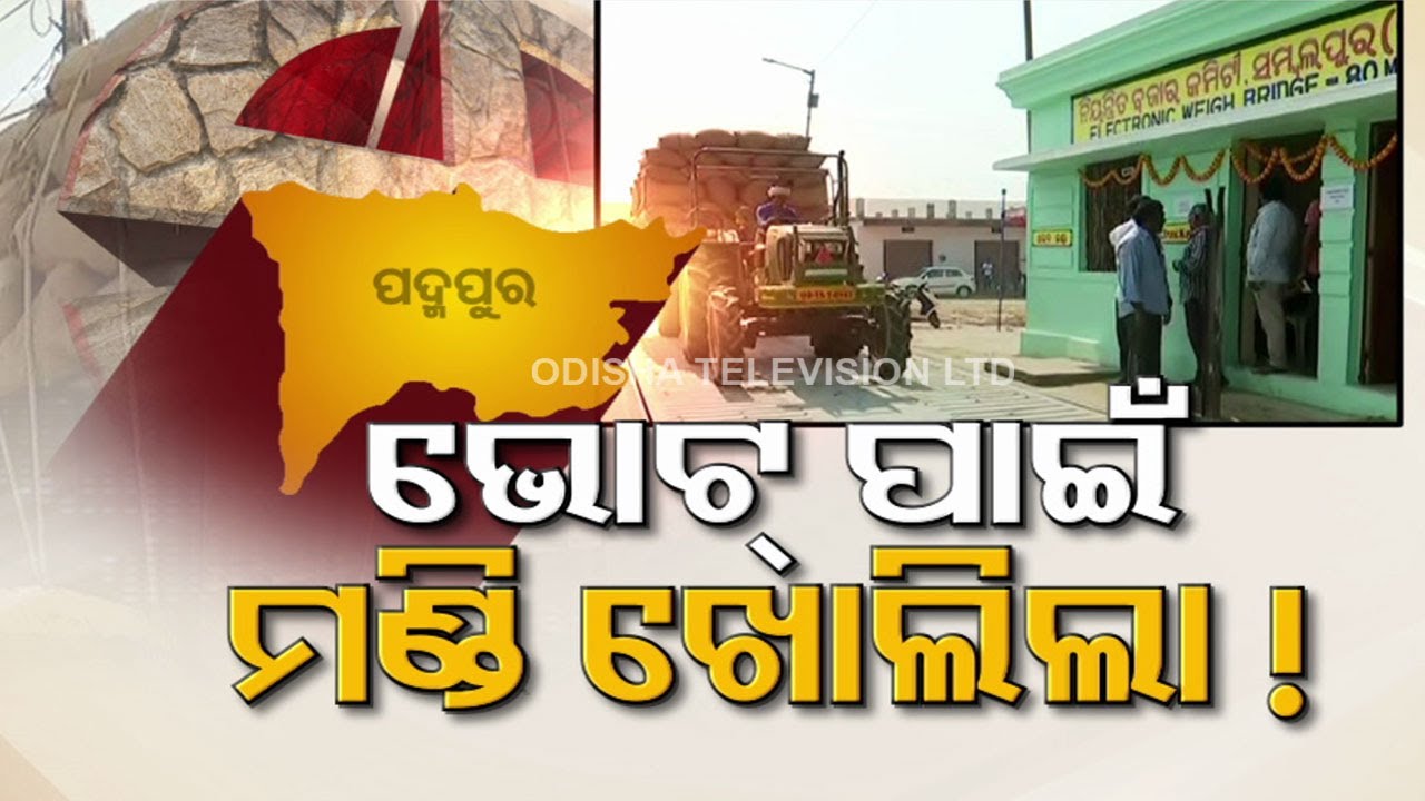 Paddy procurement, mandi issue continues to haunt Padampur farmers