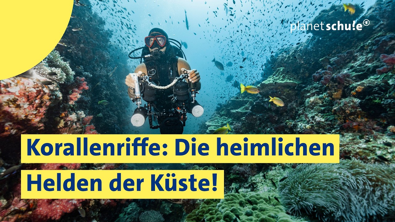 🪸 Warum sind Korallenriffe so wichtig f&uuml;r uns? | Spickzettel | planet schule | ARD