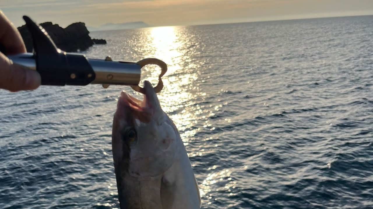 ÇANAKKALE SHORE JIGGING AVI.
