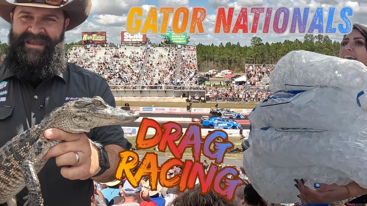 Дрэг-рейсинг NHRA - Gator Nationals, Гейнсвилл, Флорида