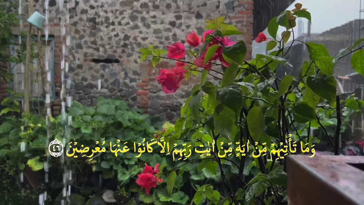 👉 Yosin surasi (to‘liq) | Chiroyli va xotirjam qiluvchi tilovat