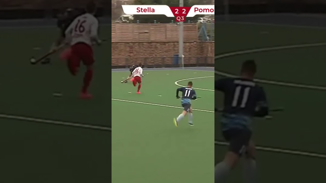 SHORT - Bramki z meczu Stella Gniezno vs Pomorzanin Toruń. VIII Kolejka Hokej Superliga.