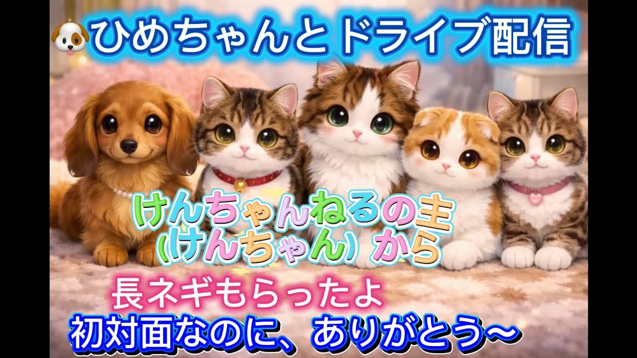 K、いちごちゃんねる ダックスひめちゃんとドライブ配信します
