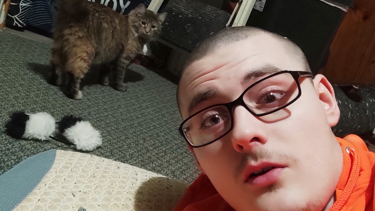 A MAMMAL GRINDING THO
