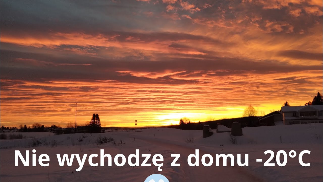 Za daleko i za zimno # mróz #snow 