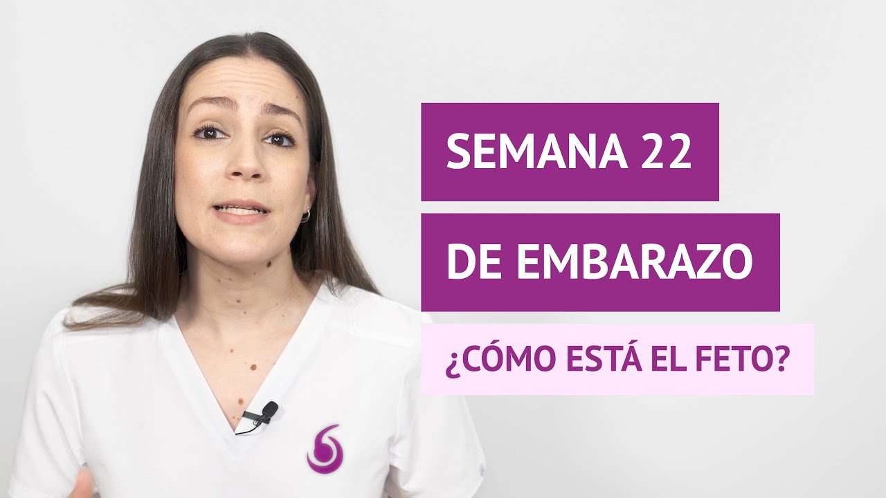 &iquest;C&oacute;mo est&aacute; el feto a las 22 semanas de gestaci&oacute;n?