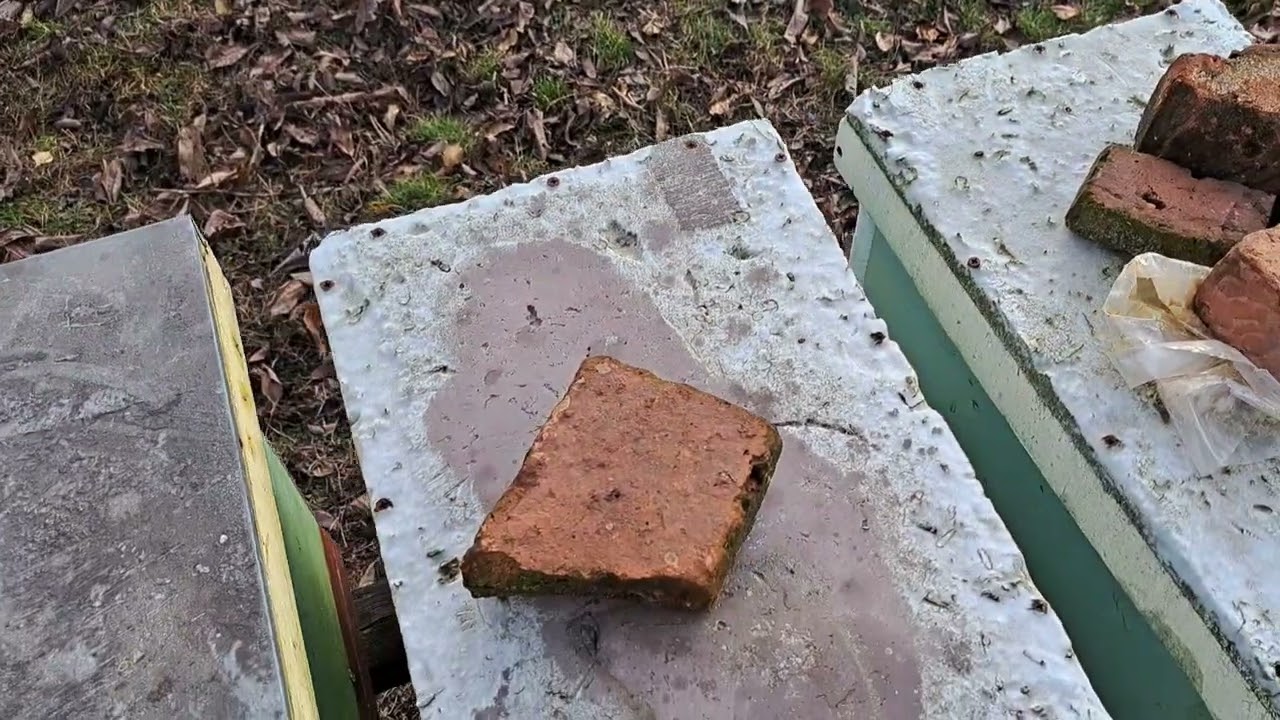 Cum când sa punem turte energetice