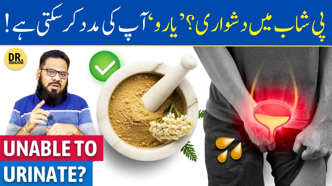 'Baranjasaf' Ki Beej Ke Fayde | Peshab Na Aana, Ruk Ruk Ke Aana | Yarrow Seeds | Dr. Ibrahim