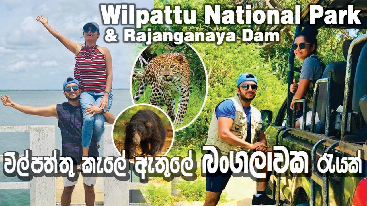 Wilpattu Safari | Maradanmaduwa Banglow | 2 Days Trip | Rajanganaya Dam | Sri Lanka VLOG #11
