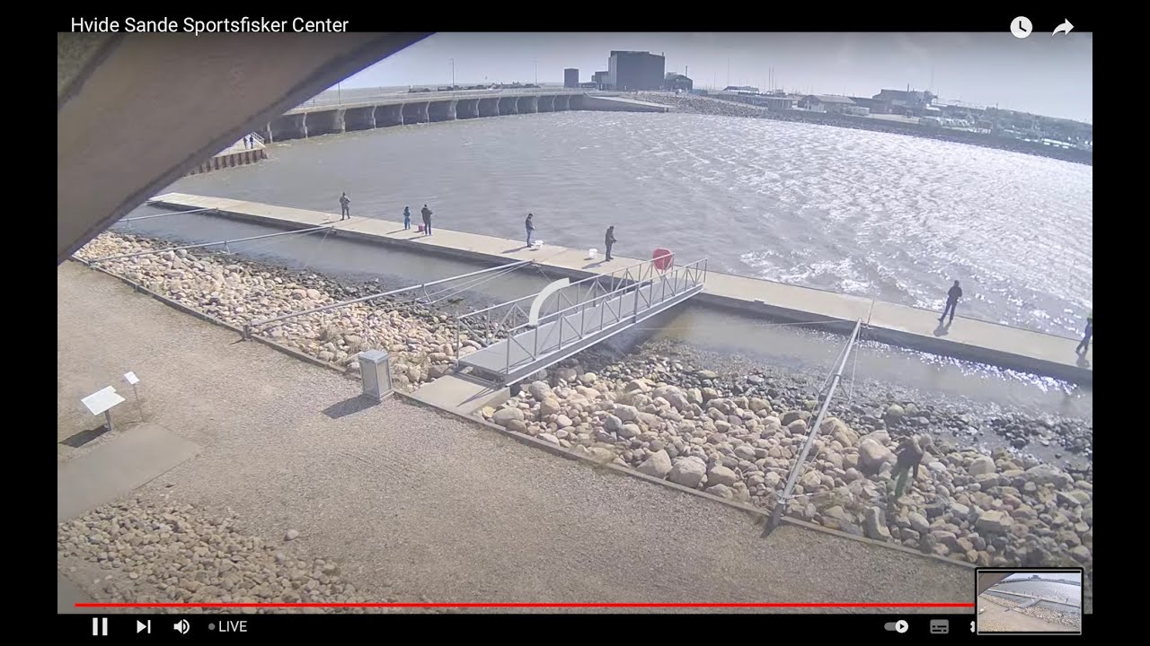 Hvide Sande Sportsfisker Center