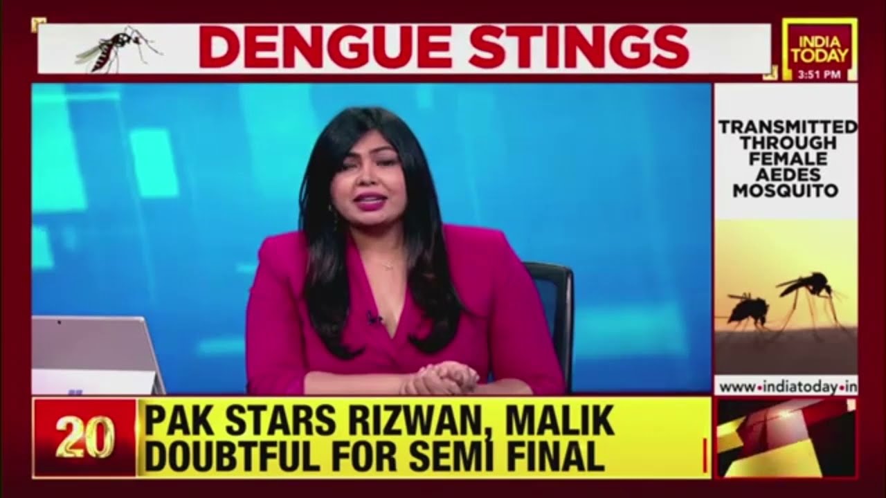 Dengue Surge: Why Does Dengue Bring Down Platelet Count? Take A Look
