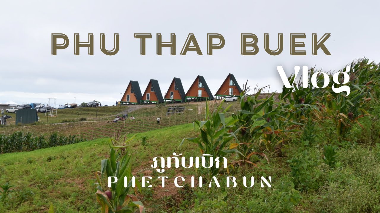 PHU THAP BUEK | Vlog | ภูทับเบิก | เพชรบูรณ์