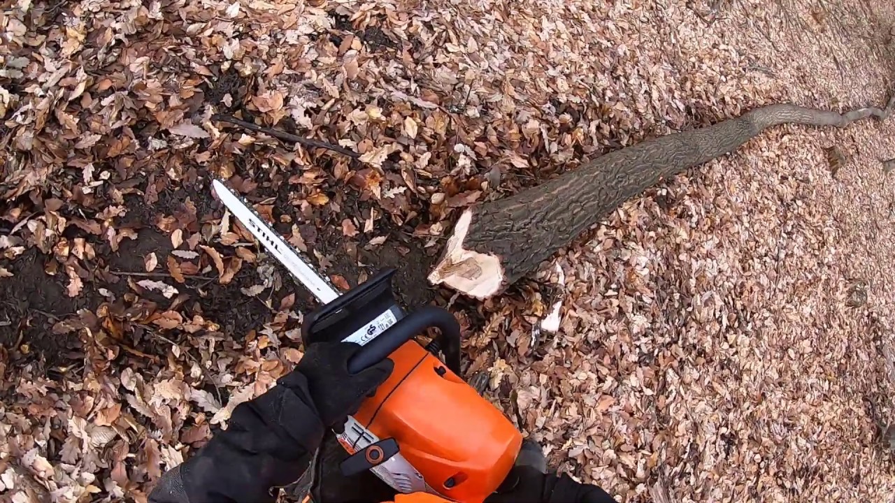 Előben az erdőről. GoPro 2.