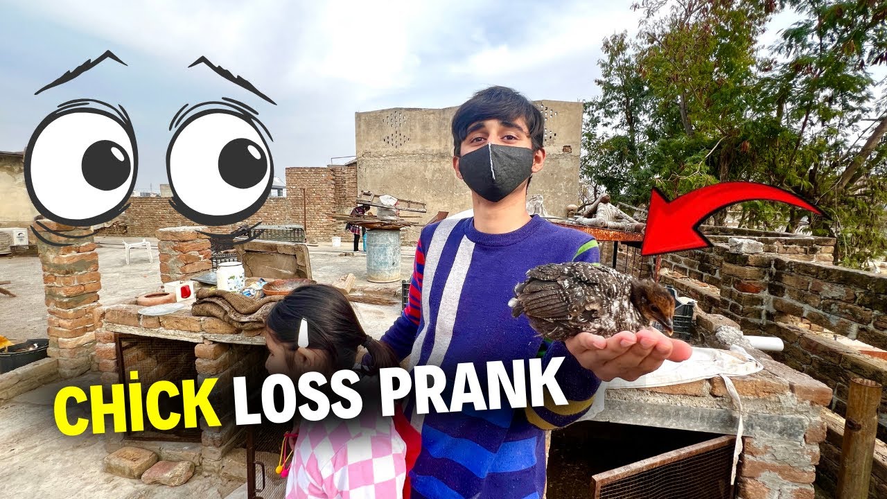 Hamza nai meray saath prank kardeya | Favourite choza hi khaib kardeya 