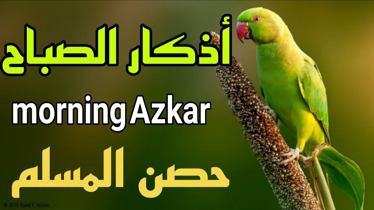 أذكار الصباح - راحة نفسية لا توصف بصوت القارئ علاء عقل | Morning Athkar - Dzkir Pagi by Alaa Aql