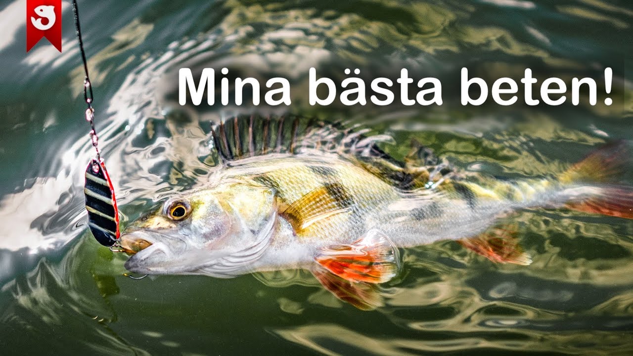 Mina BÄSTA BETEN!