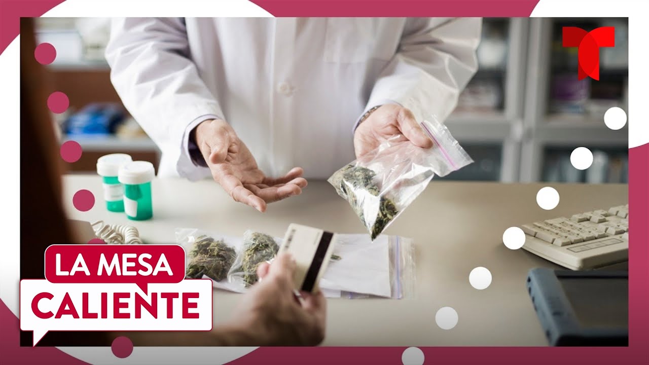 ¿Y las propuestas para el uso de la marihuana recreacional? | La Mesa Caliente