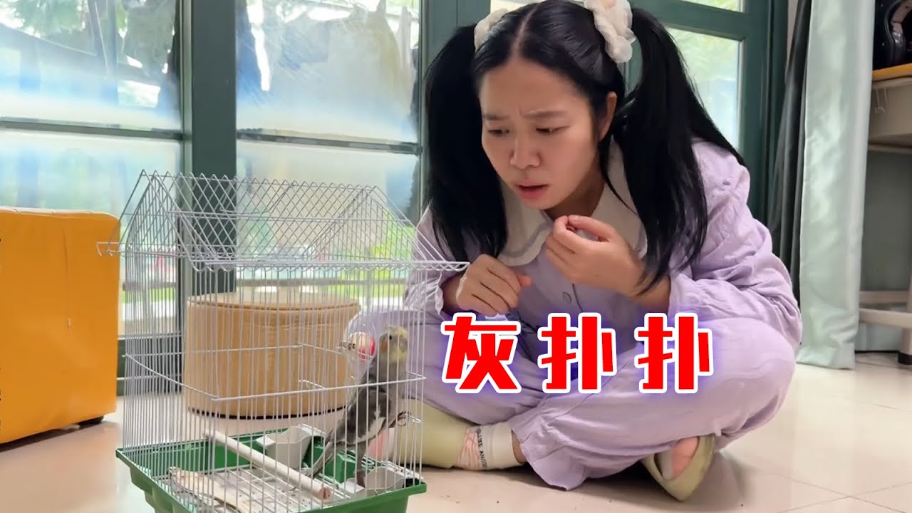 栽赃陷害算是给我们一家玩明白了！【林呱呱爱喝奶茶】#我是林呱呱