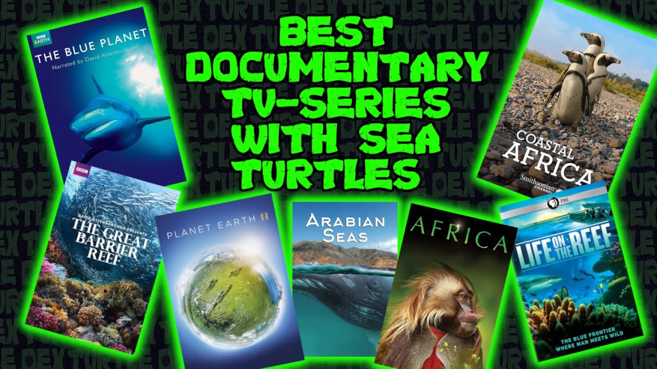 Documentary TV-Series with Sea Turtles - the best ones!