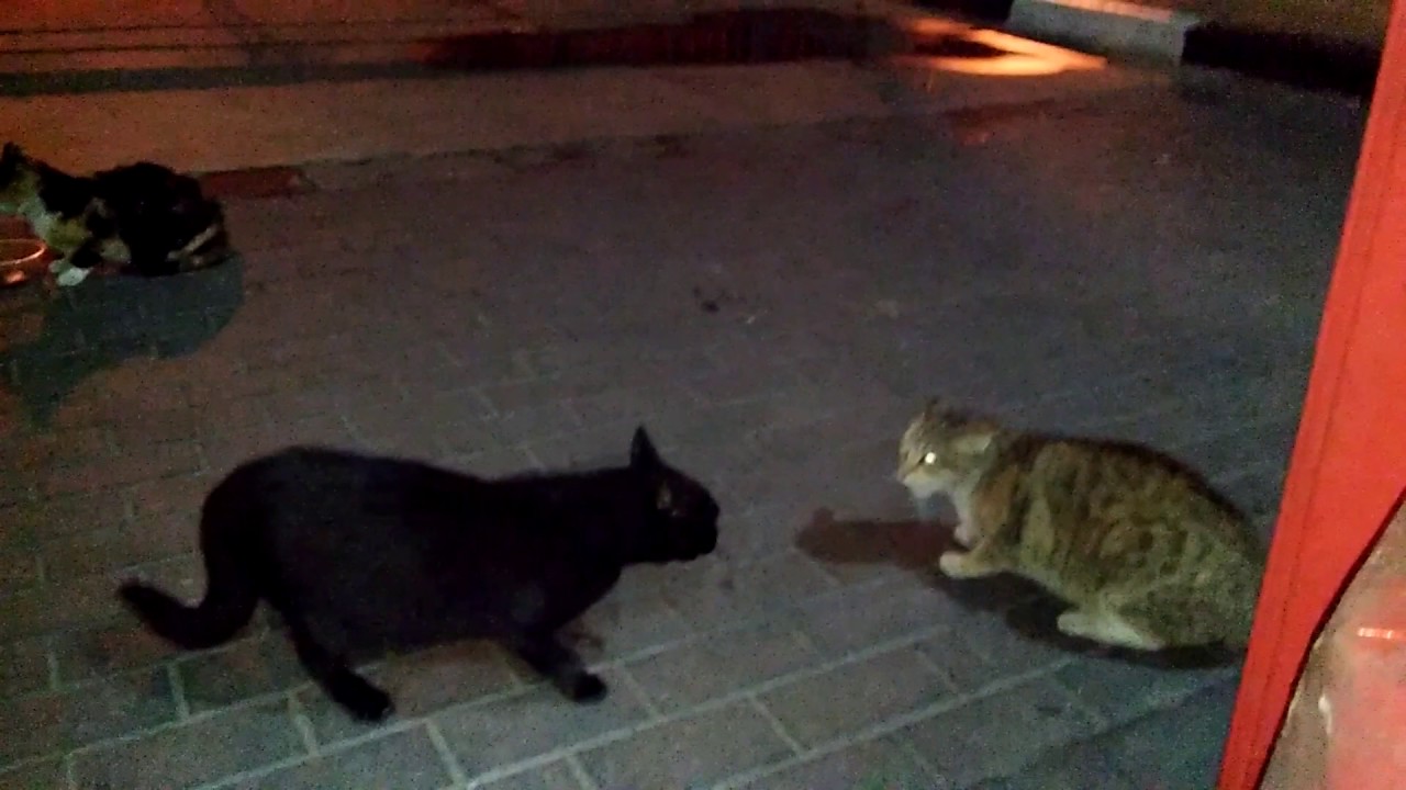 Не пизди, бо Бог накаже