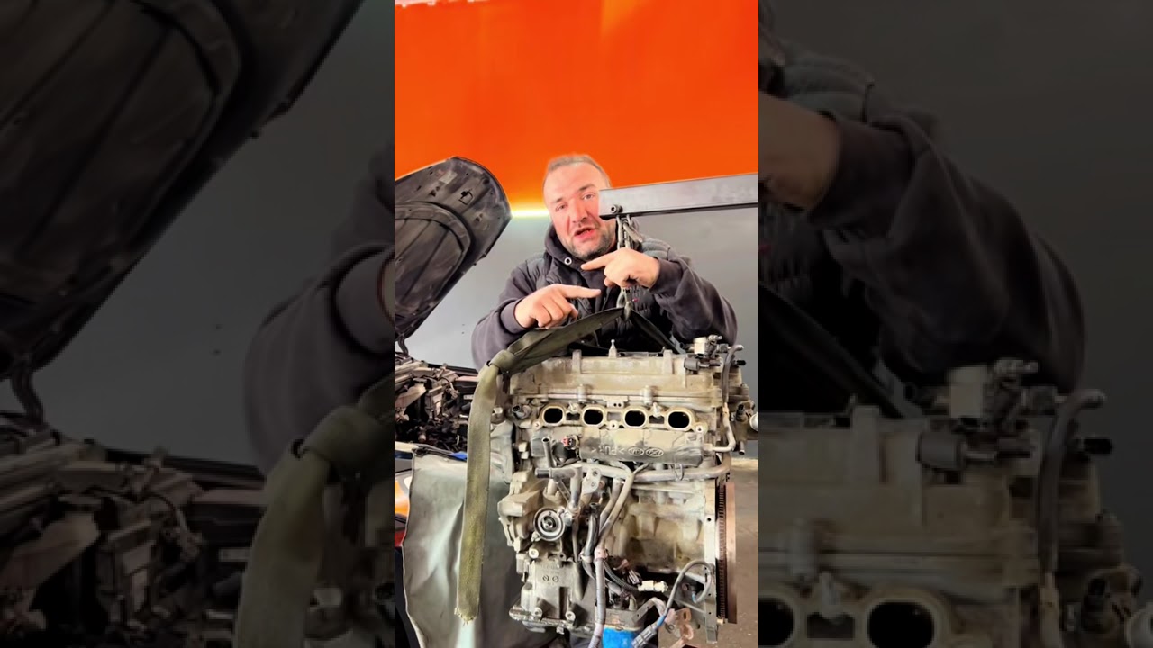Hyundaı Elantra muherrıkı. Yag azalma sebeblerı
