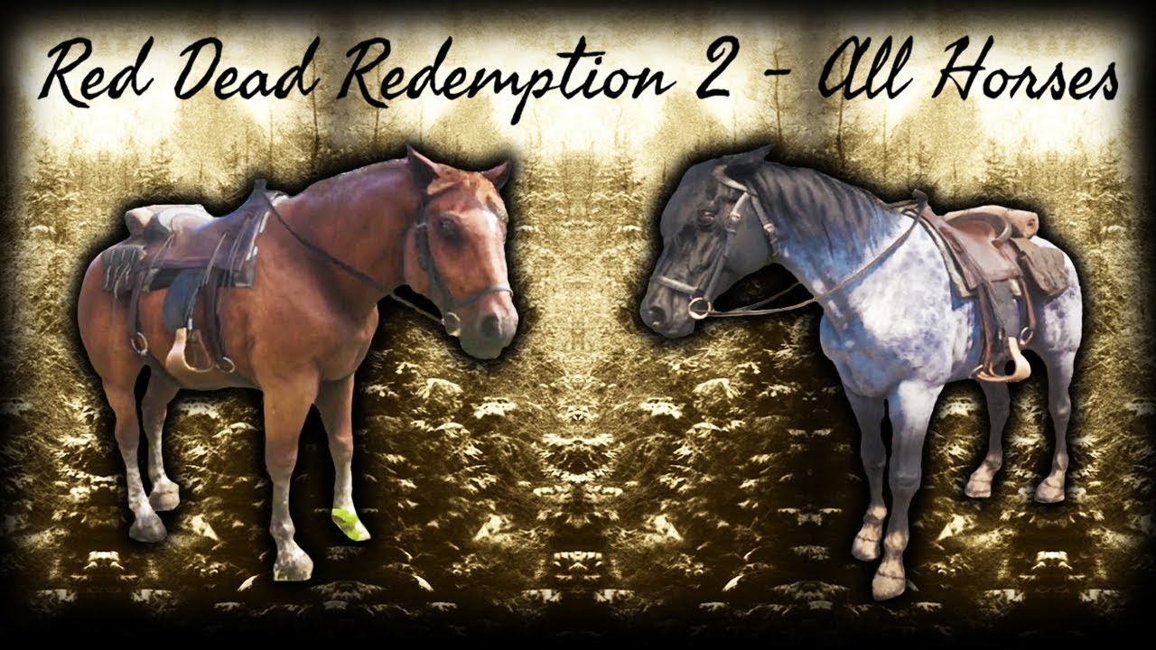 Red Dead Redemption 2 All Horses / All Horse Breeds Showcase