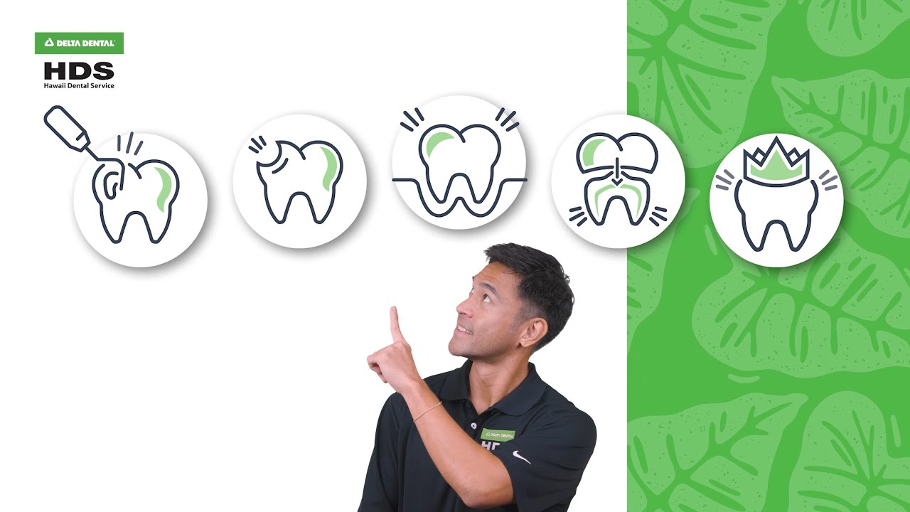 Navigating Your Dental Plan with HDS