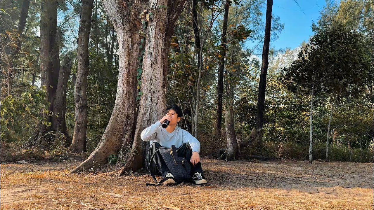 Nature Vlog | A Quiet Escape | Coney Island Singapore