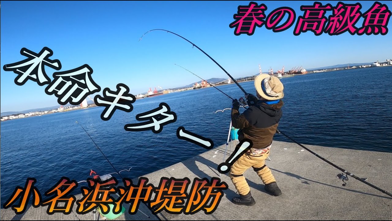 本命のアタリが！竿がぶち曲がる！キター！【小名浜沖堤防】