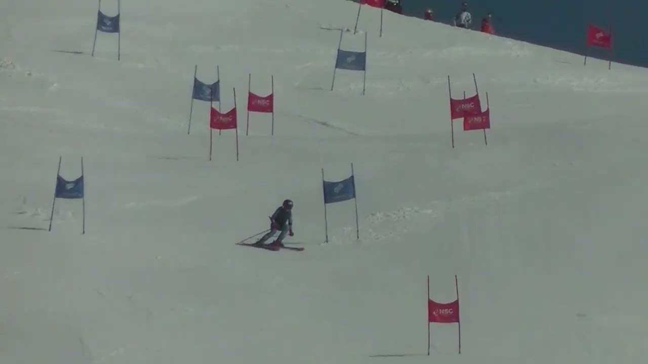 20260222_Nozawa_GStr.