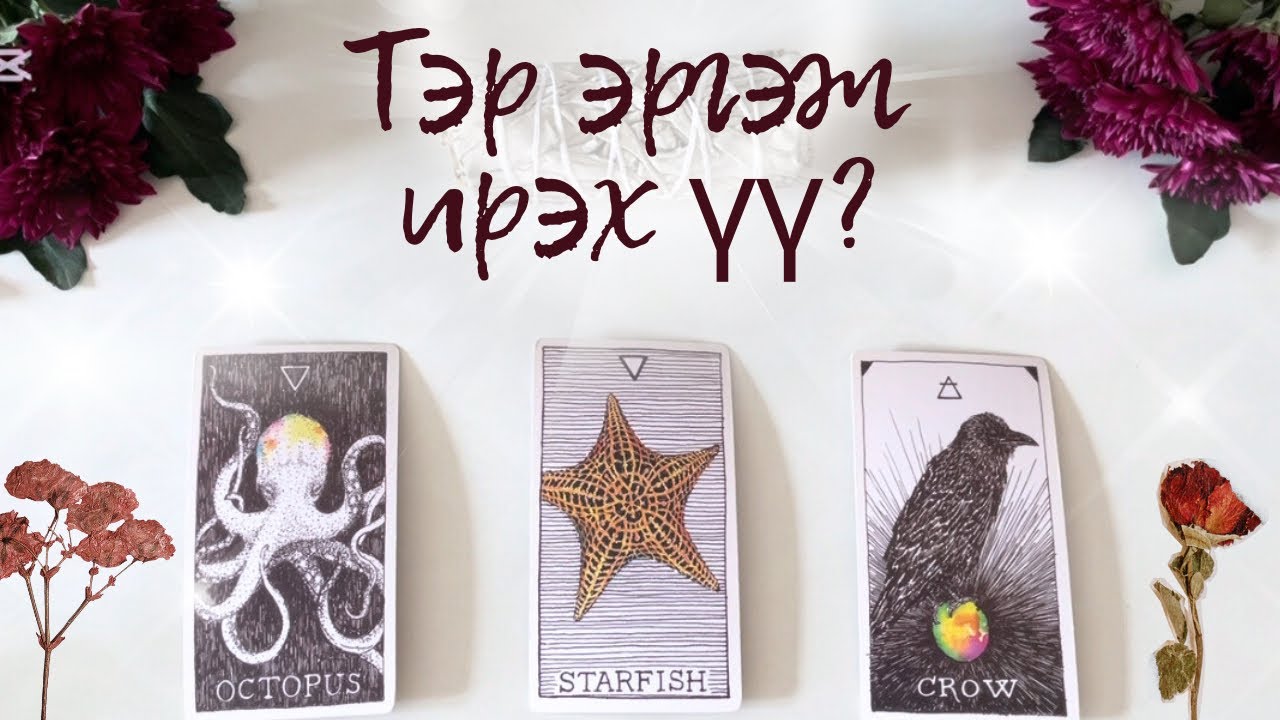 [ТАРОТ]🥀Тэр эргэж ирэх үү?