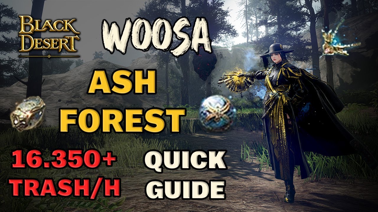 BDO | All Mechanics of Ash Forest Dehkia Lv.2 Guide & 1H Test | Woosa Succ | 16.350 Trash Per H