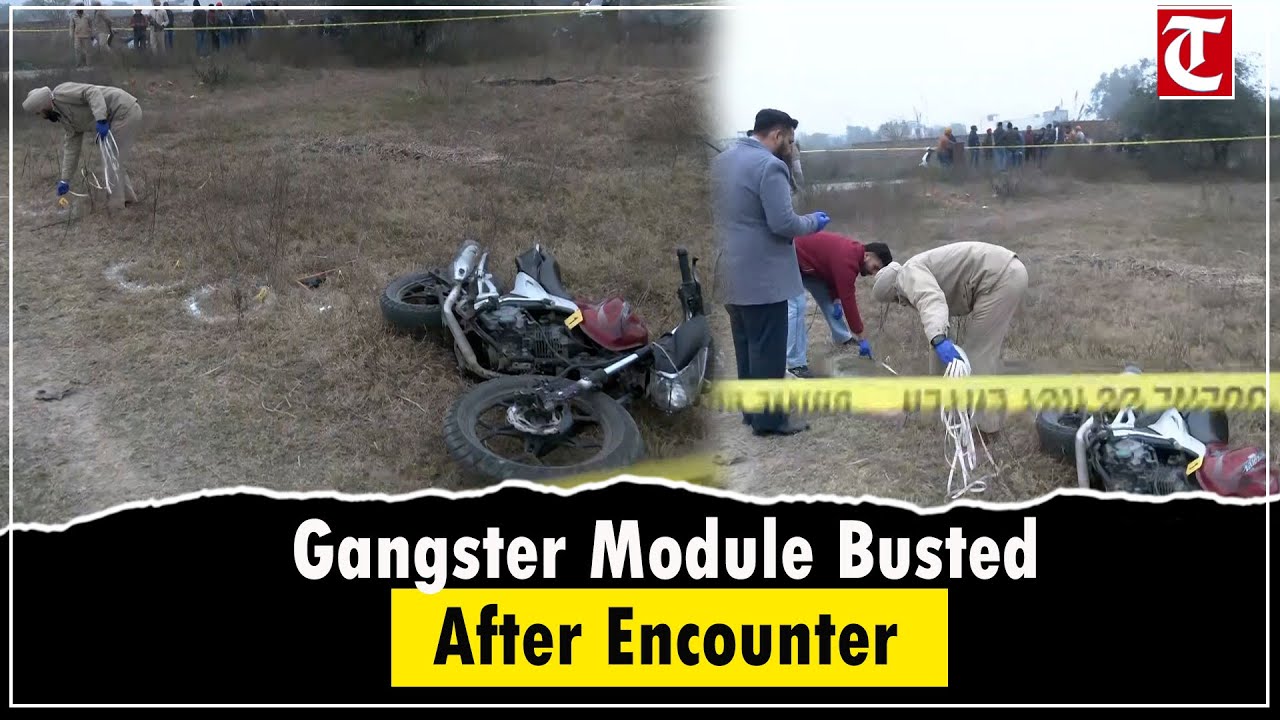 Jaggu Bhagwanpuria Gang Module Busted After Encounter; Target Killing Plot Foiled in Amritsar