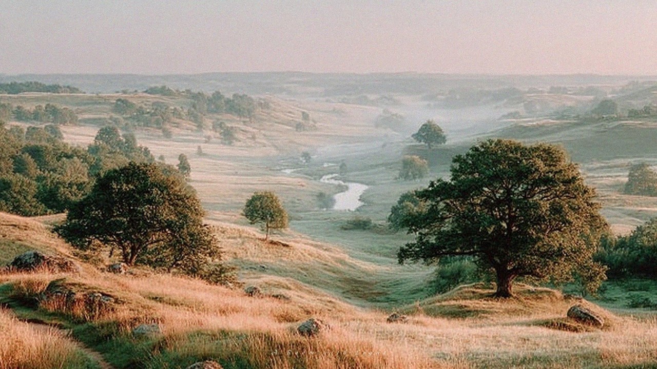 a calm playlist for a quiet life