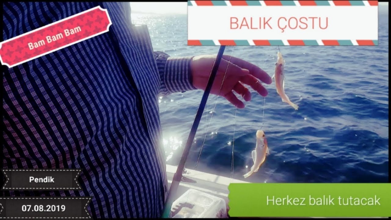 PENDİK ' DE MEZGİT AVI !!! AT ÇEK BALIK AVI