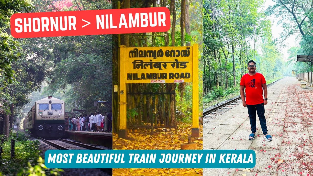 Scenic Nilambur - Shoranur Train Journey 💚 | നിലമ്പൂരിന്റെ സ്വന്തം റാണിയിൽ കയറി നിലമ്പൂരിലേക്ക് !