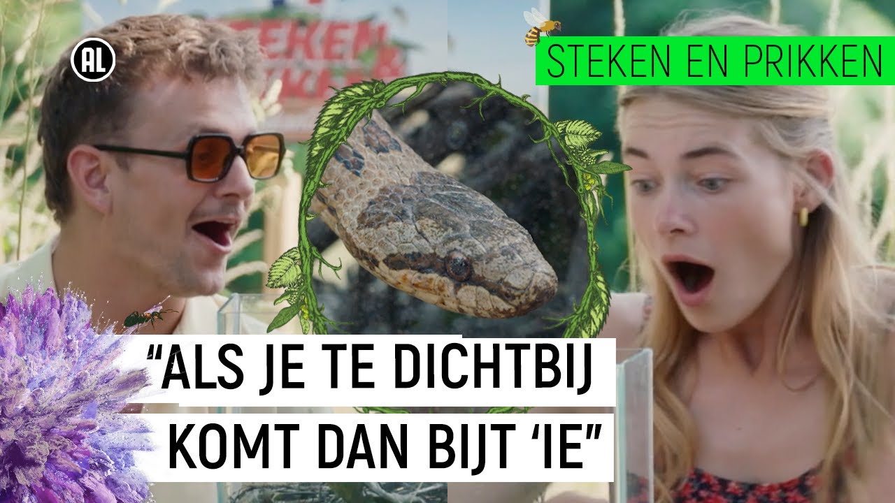 GEBETEN DOOR EEN SLANG!! | Steken en Prikken | S3 #9 | NPO Zapp