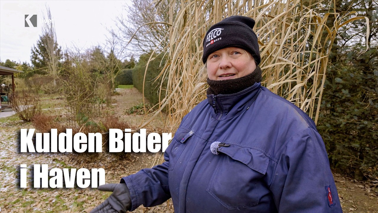 3. Februar i Majbritts Have: Kulde, Blæst og Vinterarbejde
