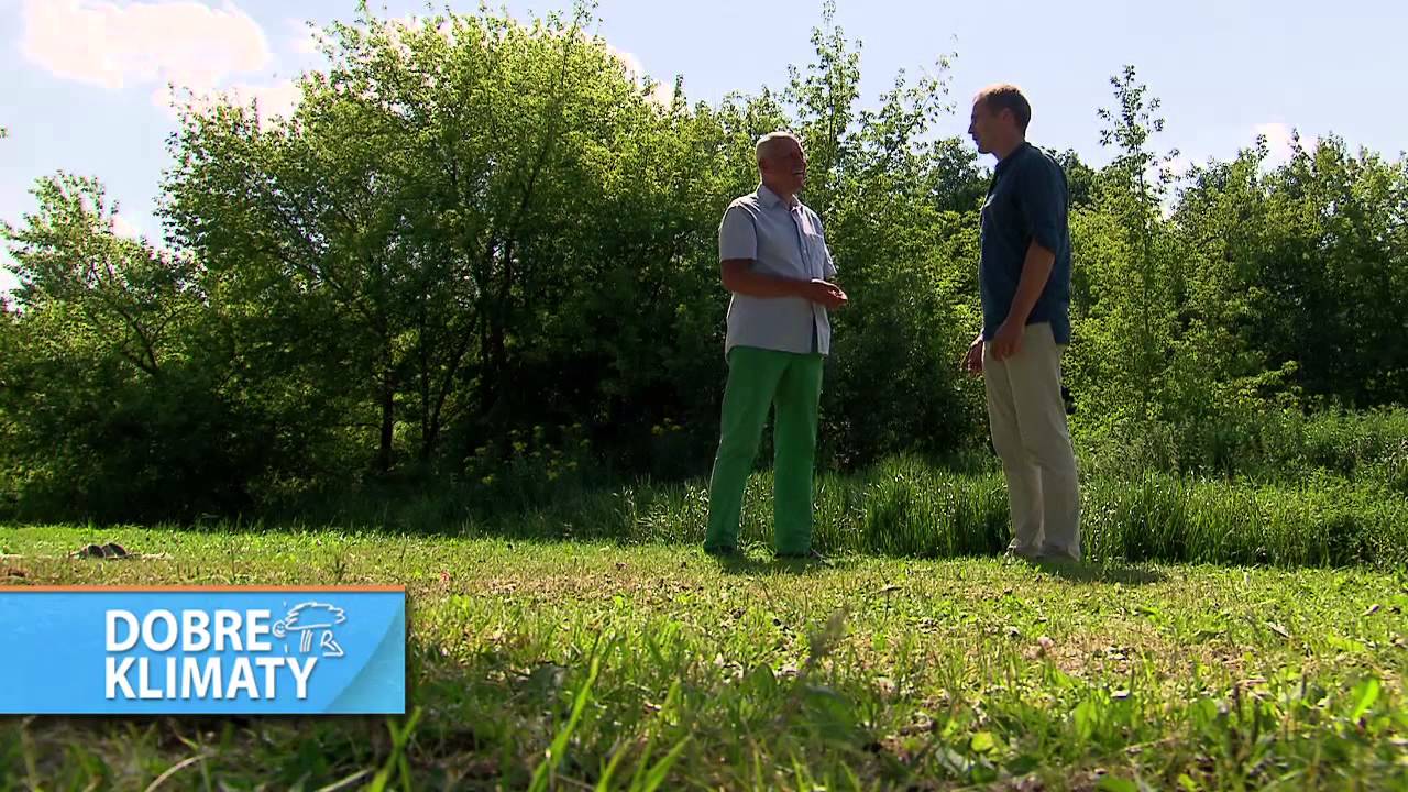 Mała i duża elektrownia wodna