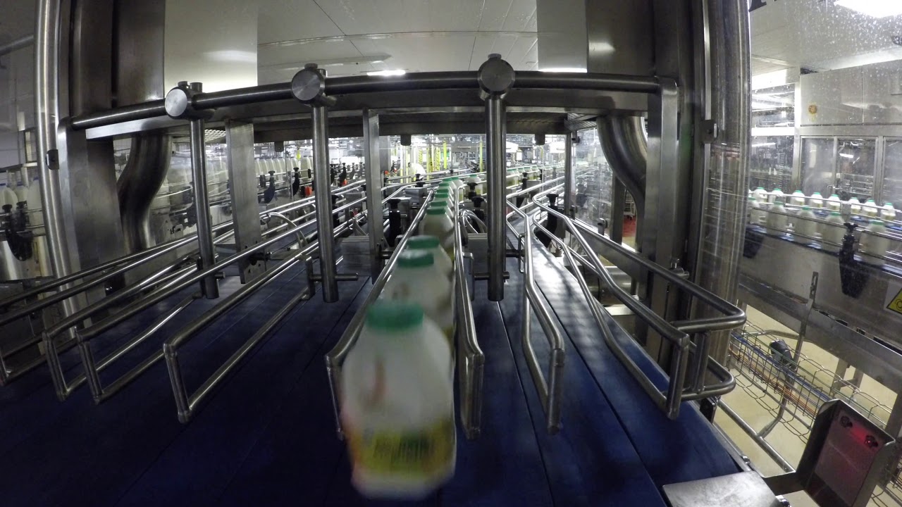 Poly Bottle Dynamic Lane Divider line 1