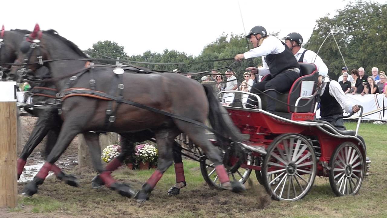 LÁZÁR Zoltán, HUN, CH M A4, Breda 2016, Marathon Ob 6, 03 09 16