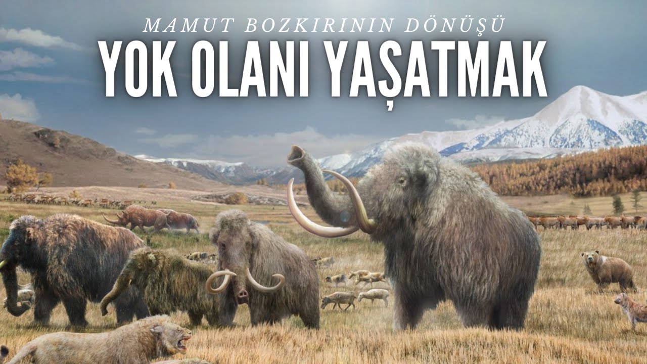 Binlerce yıl önce yok olmuş bir yaşam alanını geri getirmek mümkün mü?
