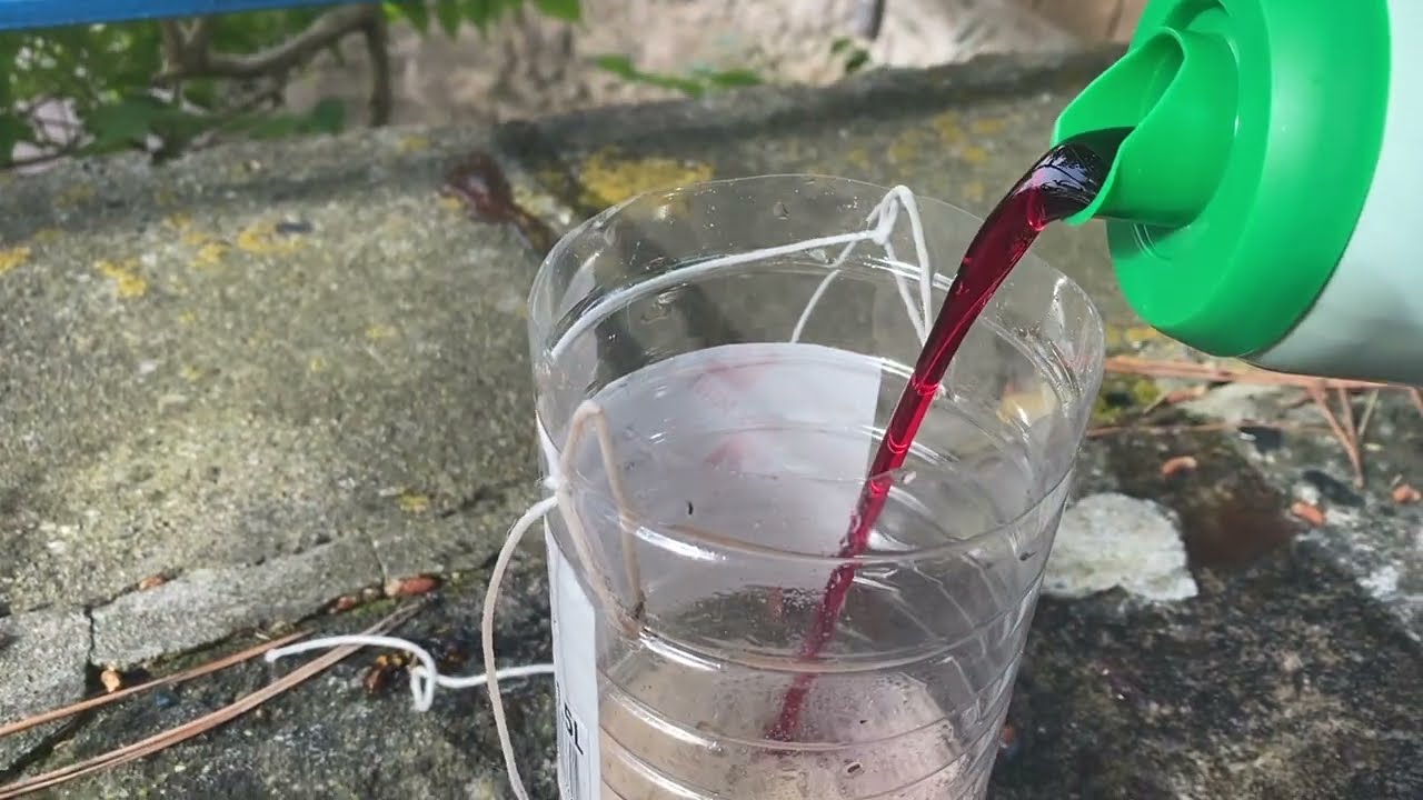 Fabriquez un piège à frelons redoutable en 2 min : Simple, efficace , facile à fabriquer maintenant